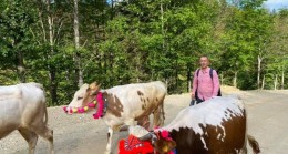 AĞASAR’DA YAYLA GÖÇLERİ YOLA DÖNDÜ !