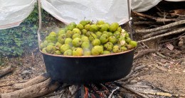 ŞALPAZARINDA ARMUT BALI YAPIMI BAŞLADI