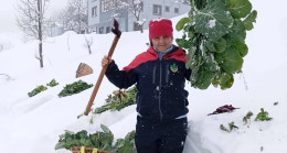 Kar Altında Sofralarının Baş Tacı Pancar..
