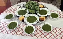 DOĞADAN GELEN ŞİFA KAYNAĞI SIRGAN…