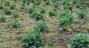 Şalpazarı’nda Doğadan Sofraya Uzanan Miras