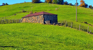 BİR GÜN SEN DE BU EV GİBİ SESSİZLİĞE KARIŞACAKSIN… 