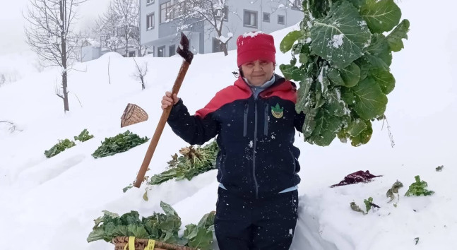 Kar Altında Sofralarının Baş Tacı Pancar..