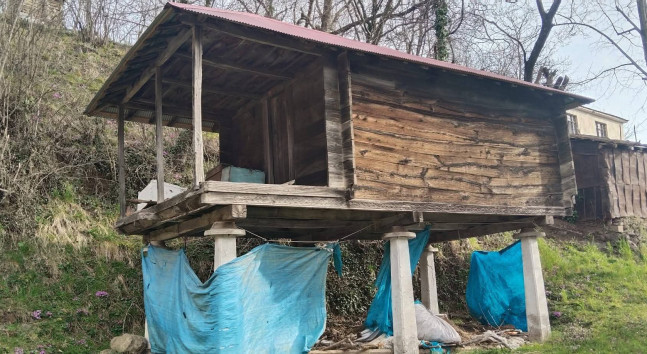 Şalpazarı’nın Kültür Mirası“Tekir” ve “Çöten”..