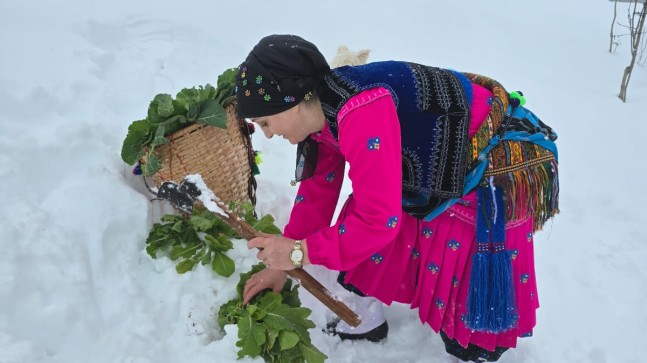 ÇEPNİ’LERİN AYŞE BAŞKANI KAR ALTINDAN PANCAR TOPLADI