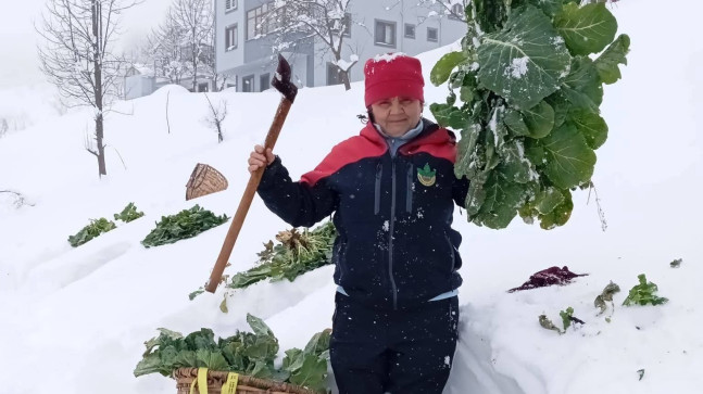 Kar Altında Sofralarının Baş Tacı Pancar..