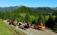 ŞALPAZARI’NDA YAYLA GÖÇLERİ GİDİYOR