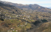 GEYİKLİ MAHALLE MUHTARI GEYİKLİNİN “KIRSAL MAHALLE” OLMASINI GERÇEKTEN İSTİYOR MU?