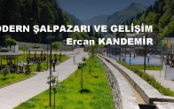 Modern Şalpazarı ve Gelişim