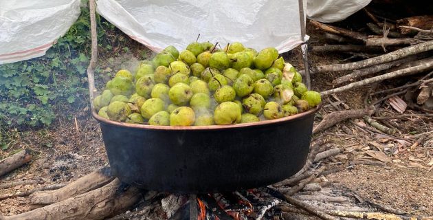 ŞALPAZARINDA ARMUT BALI YAPIMI BAŞLADI