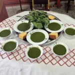 DOĞADAN GELEN ŞİFA KAYNAĞI SIRGAN…